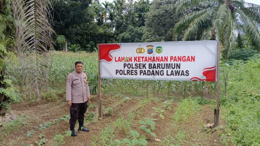 Personel Cek Lahan Ketahanan Pangan di Aspol Polsek Barumun