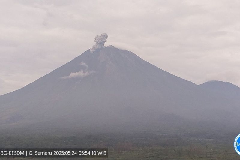 Gunung Semeru Erupsi Empat Kali, Kolom Abu Capai 800 Meter
